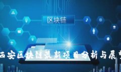 西安区块链最新项目分析与展望