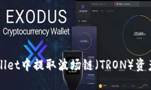 如何在TPWallet中提取波场链（TRON）资产的详细指南