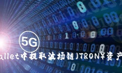 如何在TPWallet中提取波场链（TRON）资产的详细指南