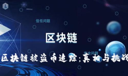 区块链被盗币追踪:真相与挑战