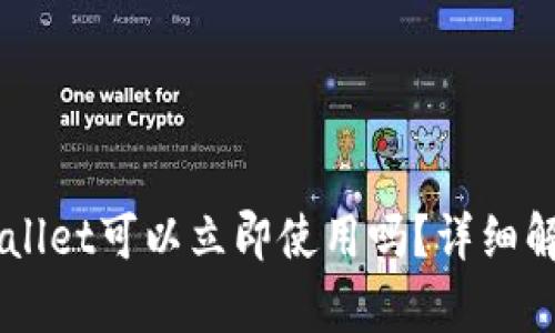 新创建的TPWallet可以立即使用吗?详细解析与使用指南