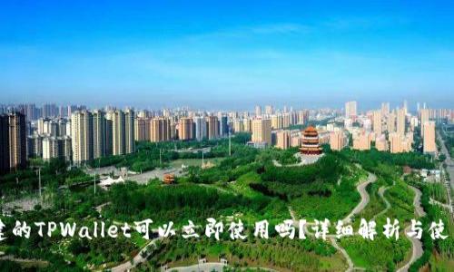 新创建的TPWallet可以立即使用吗?详细解析与使用指南