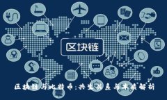 区块链与比特币：共生关系与本质解析