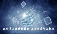 比特币与区块链技术：未来的希望与挑战