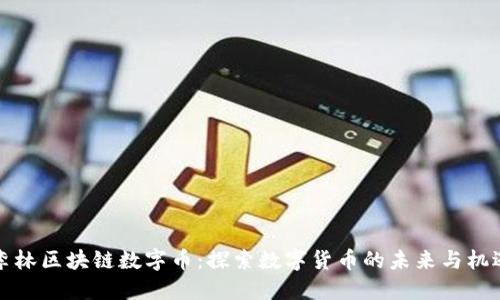 李林区块链数字币:探索数字货币的未来与机遇