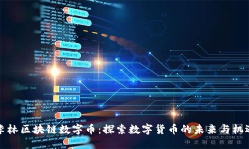 李林区块链数字币:探索数字货币的未来与机遇