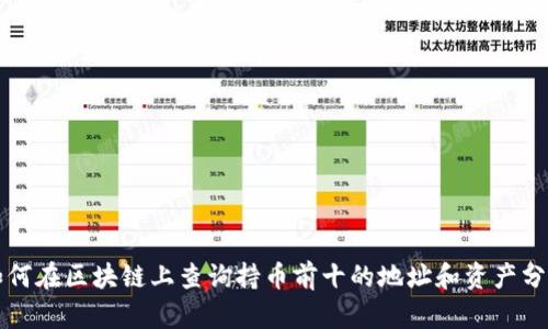 如何在区块链上查询持币前十的地址和资产分布