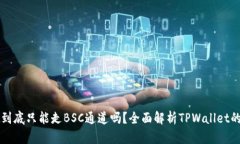 TPWallet到底只能走BSC通道吗？全面解析TPWallet的多