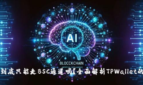 TPWallet到底只能走BSC通道吗?全面解析TPWallet的多链支持