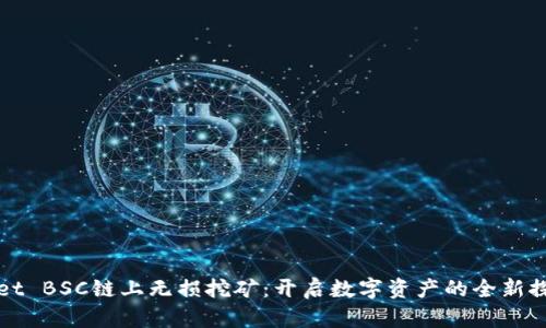 TPWallet BSC链上无损挖矿:开启数字资产的全新探索之旅