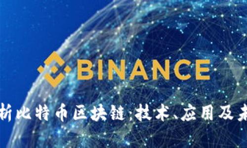 全面解析比特币区块链:技术、应用及未来前景