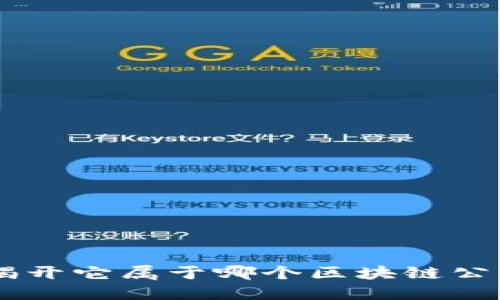 Pi币的背后:揭开它属于哪个区块链公司的神秘面纱