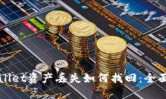 TPWallet资产丢失如何找回：全面指南
