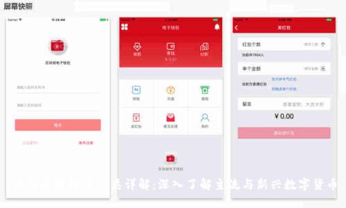 中国区块链币种类详解:深入了解主流与新兴数字货币