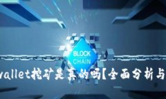  tpwallet挖矿是真的吗？全面分析与评测