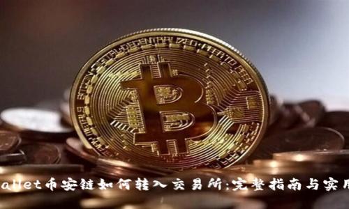 TPWallet币安链如何转入交易所:完整指南与实用技巧