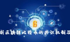 深入解析区块链比特币的共识机制及其影响