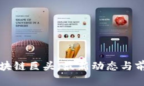 深圳区块链巨头：最新动态与前景分析