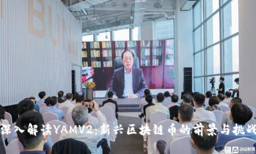 深入解读YAMV2：新兴区块链币的前景与挑战