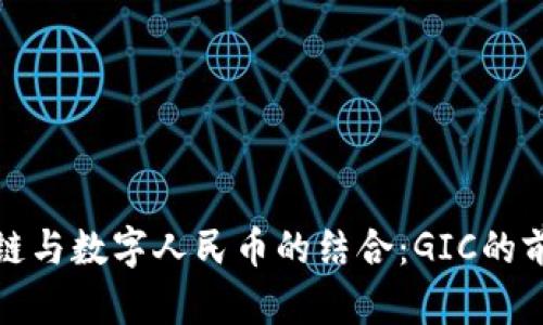 : 区块链与数字人民币的结合：GIC的前景分析