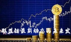 区块链联盟链最新动态与未来发展趋势