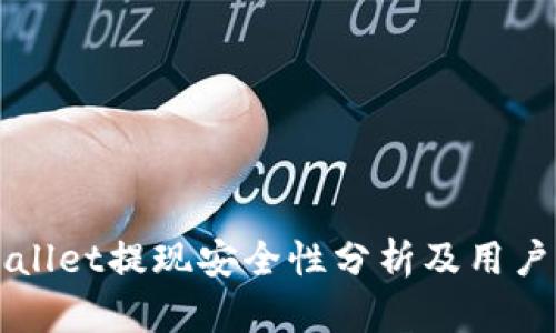 TPWallet提现安全性分析及用户指南