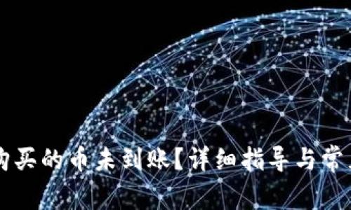 TPWallet购买的币未到账？详细指导与常见问题解答