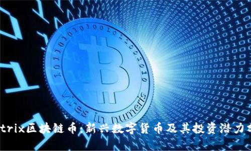 Matrix区块链币:新兴数字货币及其投资潜力分析