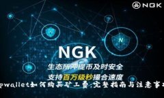 tpwallet如何购买矿工费：完整指南与注意事项