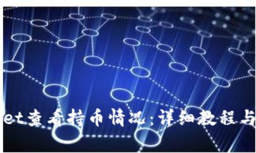 如何在TPWallet查看持币情况:详细教程与常见问题解析