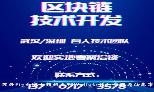 如何将Pig币安全转移至TPWallet:详细步骤与注意事项