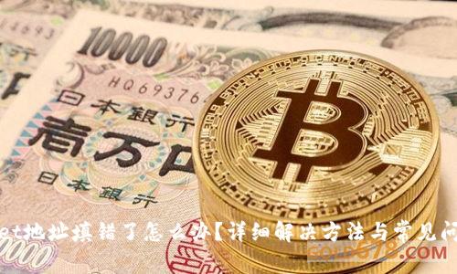 tpwallet地址填错了怎么办?详细解决方法与常见问题解析