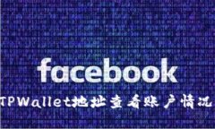 如何通过TPWallet地址查看账户情况：完整指南