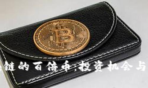 揭秘区块链的百倍币:投资机会与风险分析
