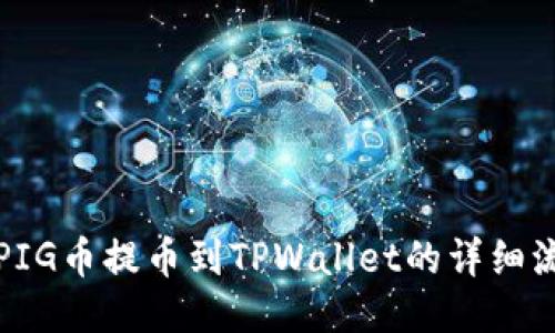如何将PIG币提币到TPWallet的详细流程指南