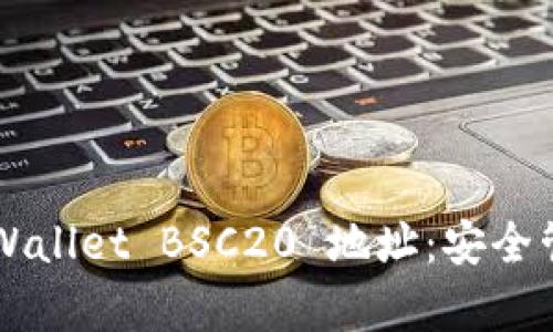 深入解析 TP Wallet BSC20 地址:安全管理与功能详解