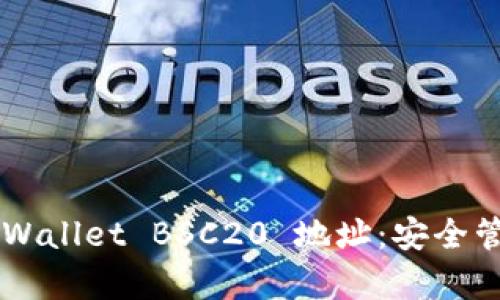 深入解析 TP Wallet BSC20 地址:安全管理与功能详解