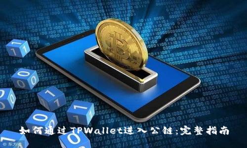 如何通过TPWallet进入公链：完整指南