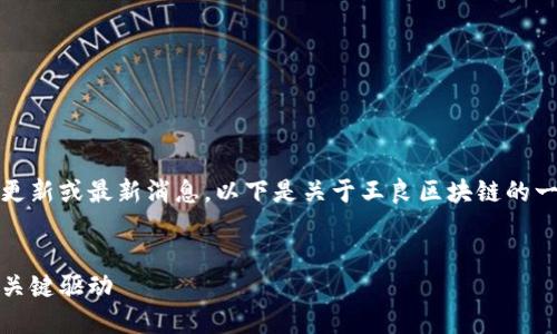 抱歉，我无法提供实时的新闻更新或最新消息。以下是关于王良区块链的一些通用信息和潜在讨论主题。


王良区块链：未来数字经济的关键驱动