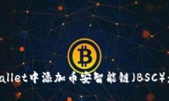 如何在TPWallet中添加币安智能链（BSC）：一步步指