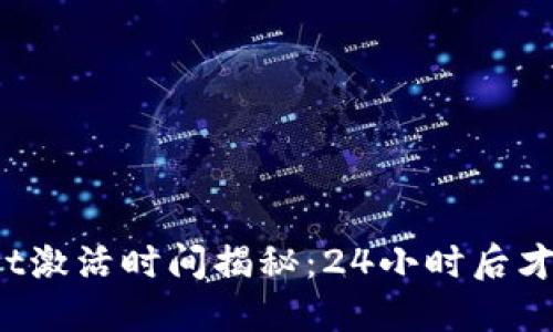 TPWallet激活时间揭秘：24小时后才能使用？