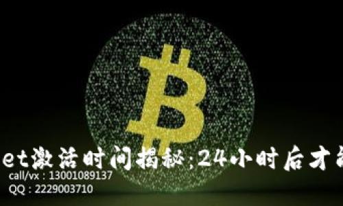 TPWallet激活时间揭秘：24小时后才能使用？