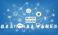 : 区块链技术与Pi币的未来：全面剖析潜力与挑战