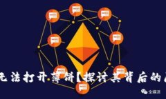 为何TPWallet无法打开薄饼？探讨其背后的原因与解