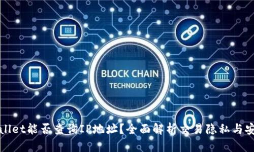 TPWallet能否查询IP地址？全面解析交易隐私与安全性