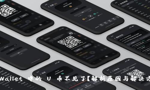 TPWallet 中的 U 币不见了？解析原因与解决方法