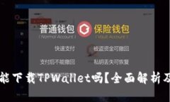 苹果手机能下载TPWallet吗？全面解析及操作指南