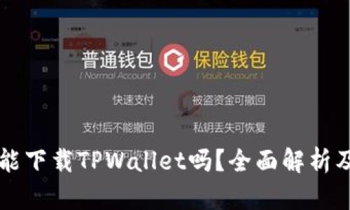 苹果手机能下载TPWallet吗?全面解析及操作指南