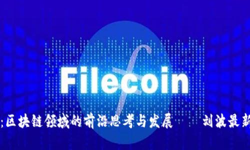 深度解析：区块链领域的前沿思考与发展——刘波最新视频分享