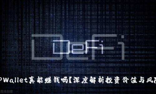 TPWallet真能赚钱吗？深度解析投资价值与风险